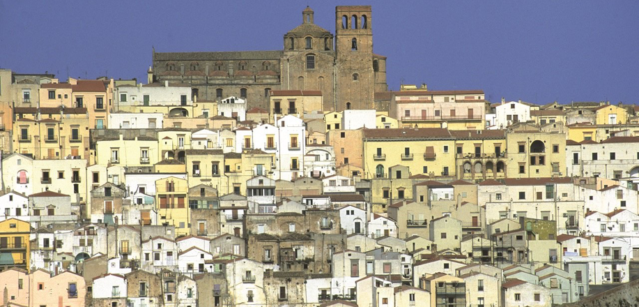 ferrandina ferrandina