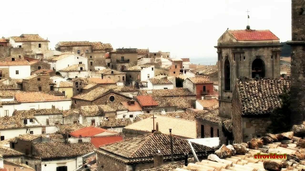 sedi---bovino